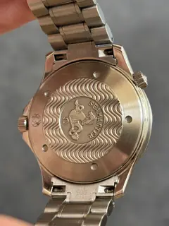 fond — Omega Seamaster Professional