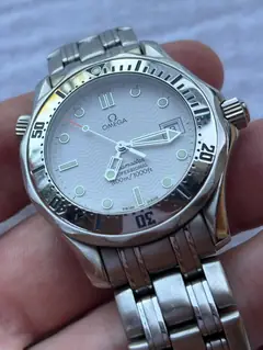 fond — Omega Seamaster Professional